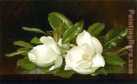 Magnolias on a Wooden Table painting - Martin Johnson Heade Magnolias on a Wooden Table art painting